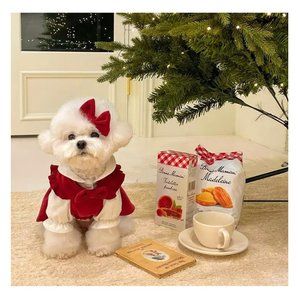 Dog & Cat Red Corduroy Holiday Dress Various Sizes NEW🦋